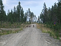 Obraz 200